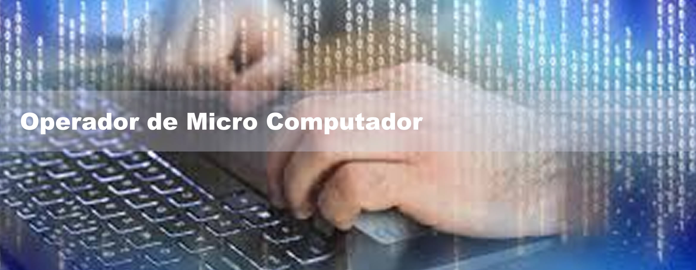 Operador de Computador